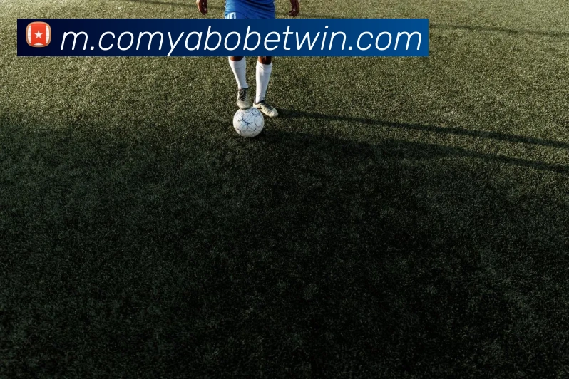 亚博体育APP 封面图