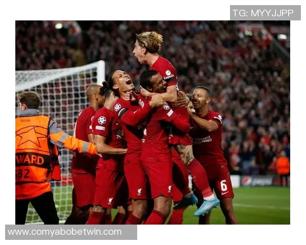 荷媒称利物浦或在一月召回麦康奈尔阿贾克斯期间出场机会寥寥